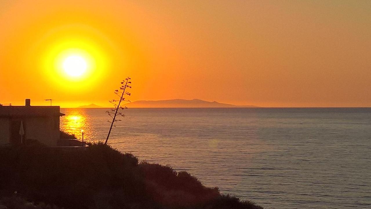 Villa La Ciaccia Valledoria  Dış mekan fotoğraf
