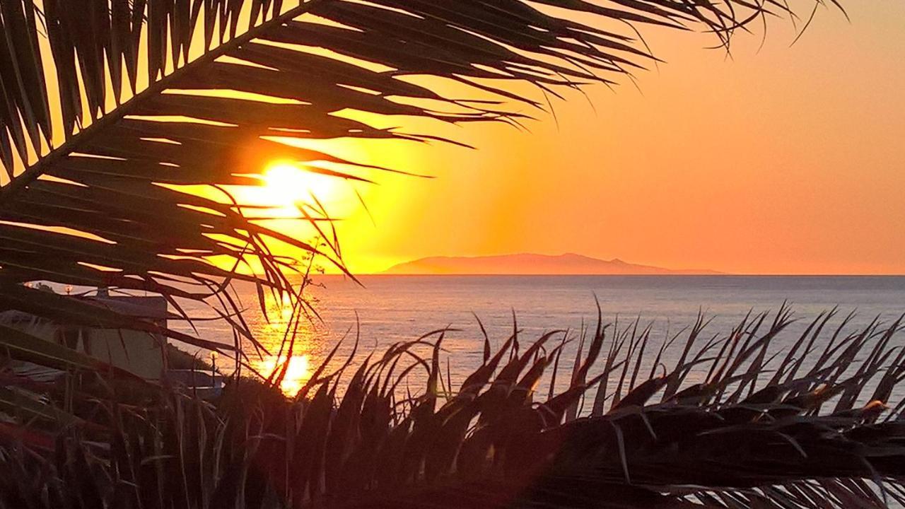 Villa La Ciaccia Valledoria  Dış mekan fotoğraf